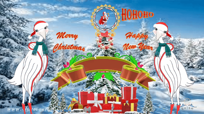 Merry Christmas and Happy  New Year