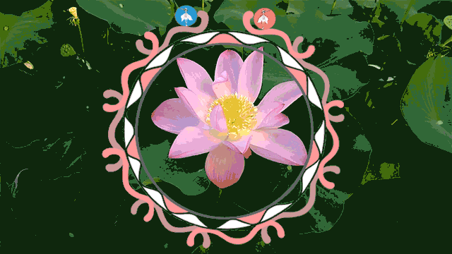 Untitled-3.gif
