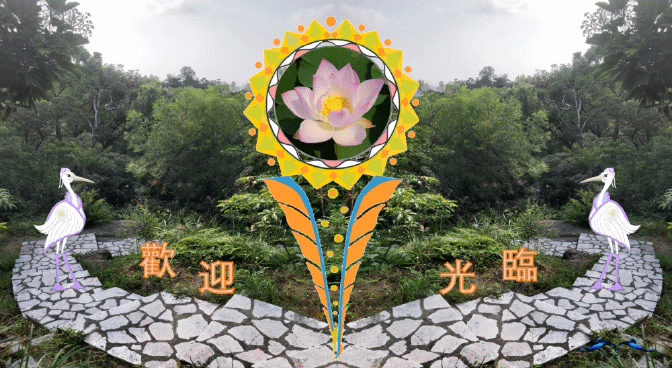 白鹭湿地乐园2b.gif
