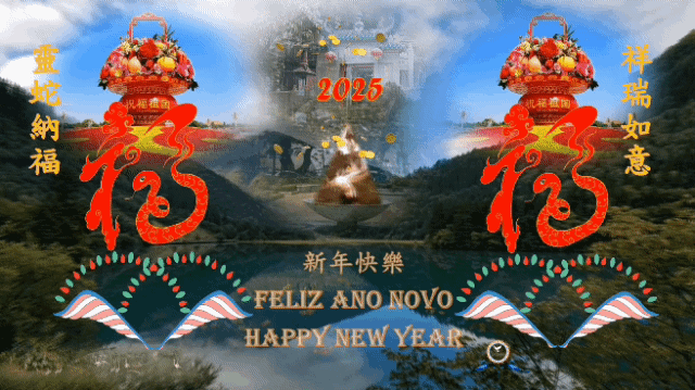 20250116_193031.gif