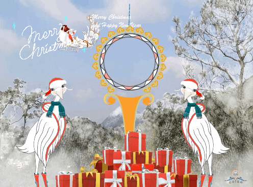 Merry Christmas and Happy New Year