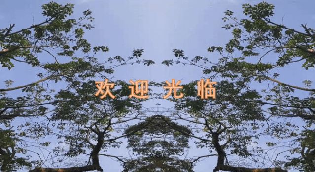 Egret Wetland Story3