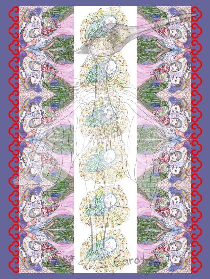100% Silk Scarf
Worth having！
Size:160X53cm
Hotline: lijosilvei@gmail.com
Wechat code:BlueSeaArts