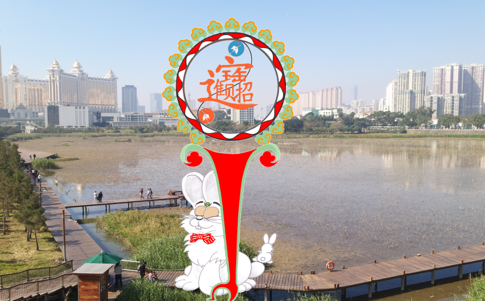 Wish you good luck in the year of the rabbit !